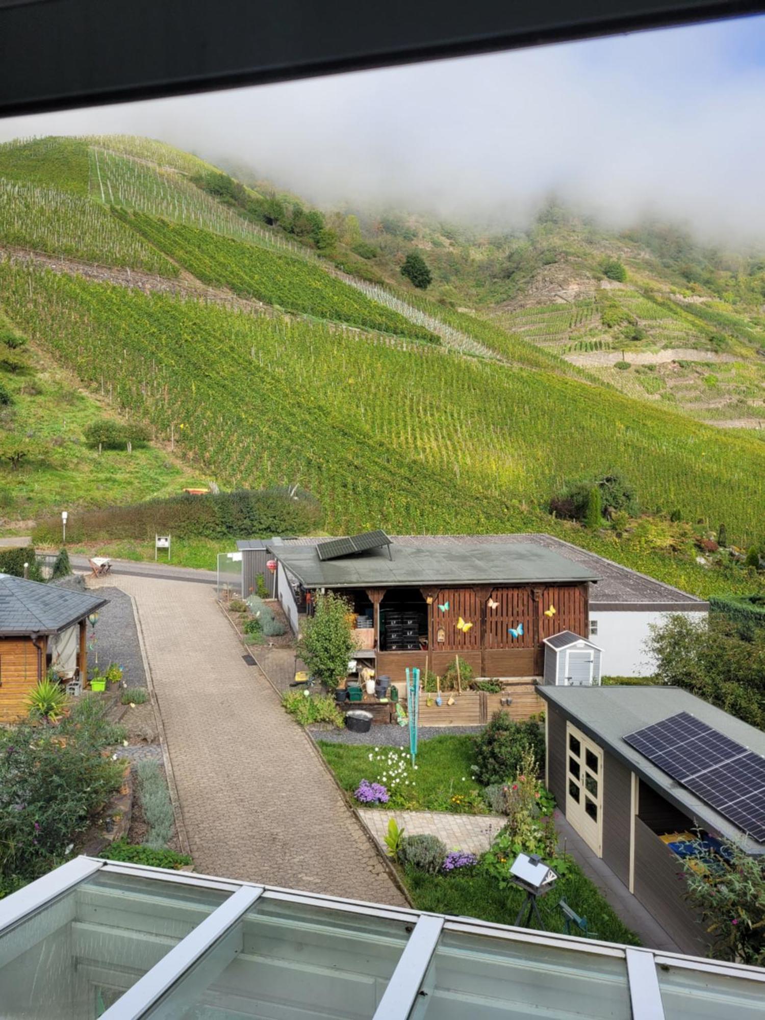 Ferienwohnung Haus Am Calmont ブレム エクステリア 写真