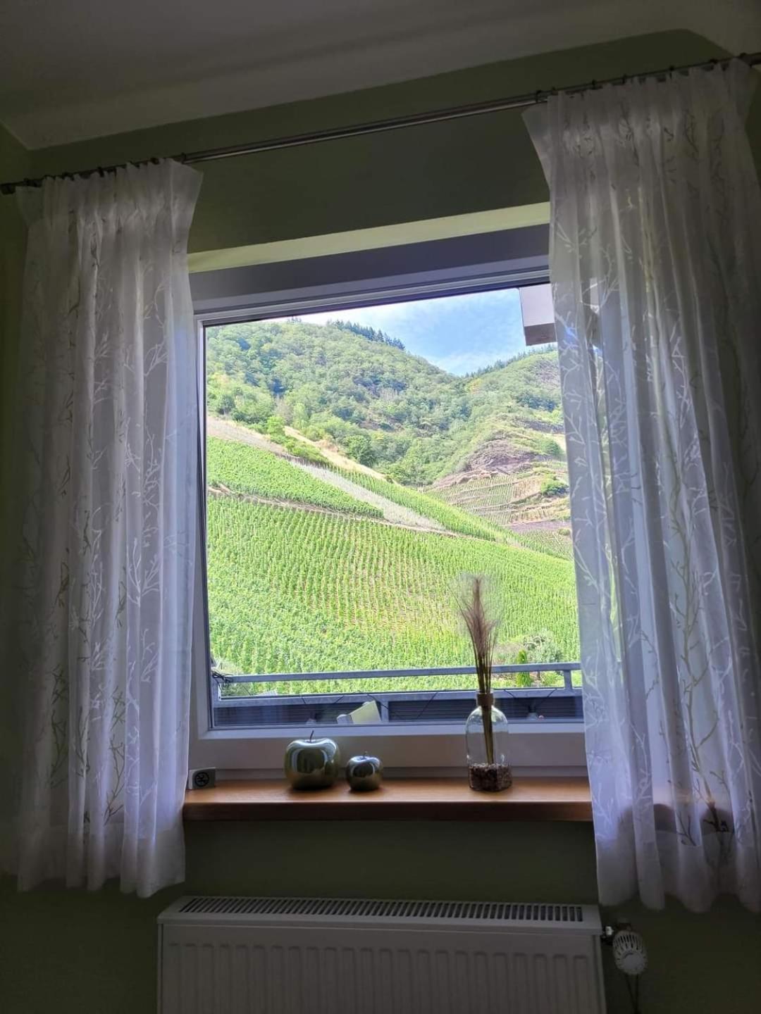 Ferienwohnung Haus Am Calmont ブレム エクステリア 写真