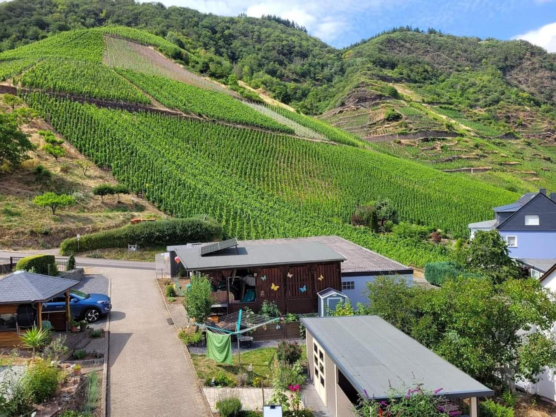Ferienwohnung Haus Am Calmont ブレム エクステリア 写真